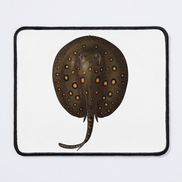Item preview, Freshwater stingray - For All freshwater stingray Lovers designed and sold by AquariumExp.