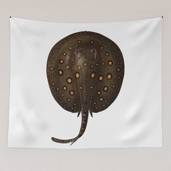 Item preview, Freshwater stingray - For All freshwater stingray Lovers designed and sold by AquariumExp.
