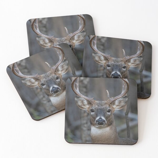 Item preview, Beautiful White Tailed Buck Portrait  designed and sold by Vargulich.