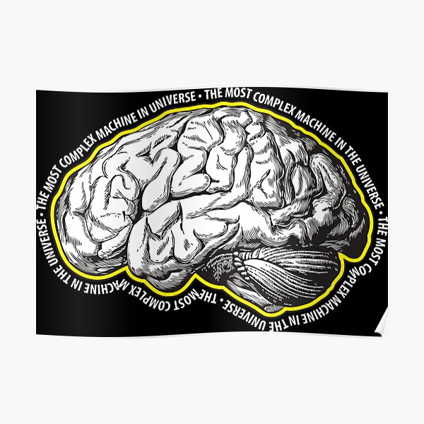 Brain: The Most Complex Machine in the Universe. Poster