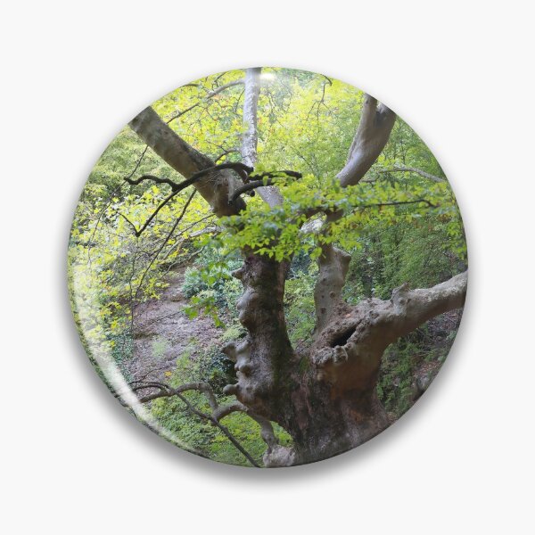 Item preview, Old trees designed and sold by zumi.
