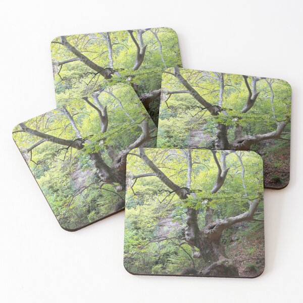 Item preview, Old trees designed and sold by zumi.