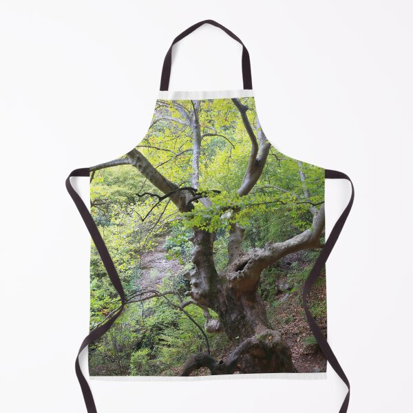 Item preview, Old trees designed and sold by zumi.