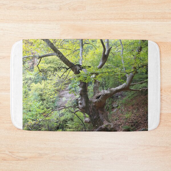 Item preview, Old trees designed and sold by zumi.
