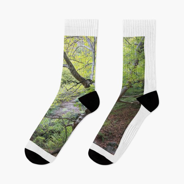 Item preview, Old trees designed and sold by zumi.