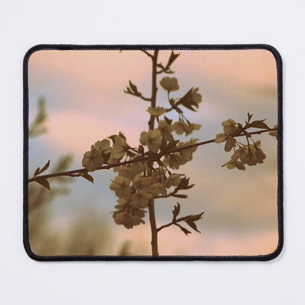 Item preview, Cherry Tree Blossom Cross in Pastels designed and sold by JariHawk.