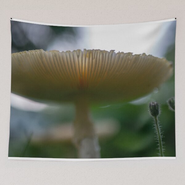Item preview, Fungal Palace designed and sold by phillipmorris.