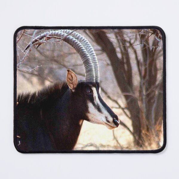 Item preview, SABLE - Hippotragus niger designed and sold by Magriet Meintjes.