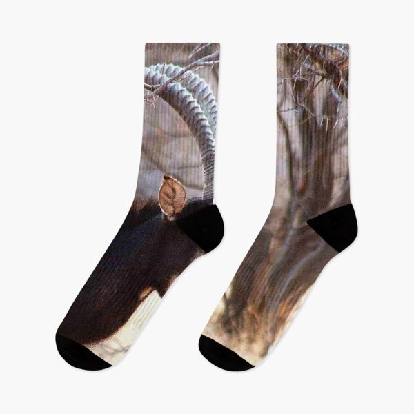 Item preview, SABLE - Hippotragus niger designed and sold by Magriet Meintjes.