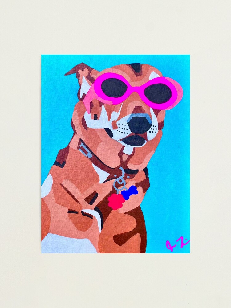 Dog hotsell clout goggles