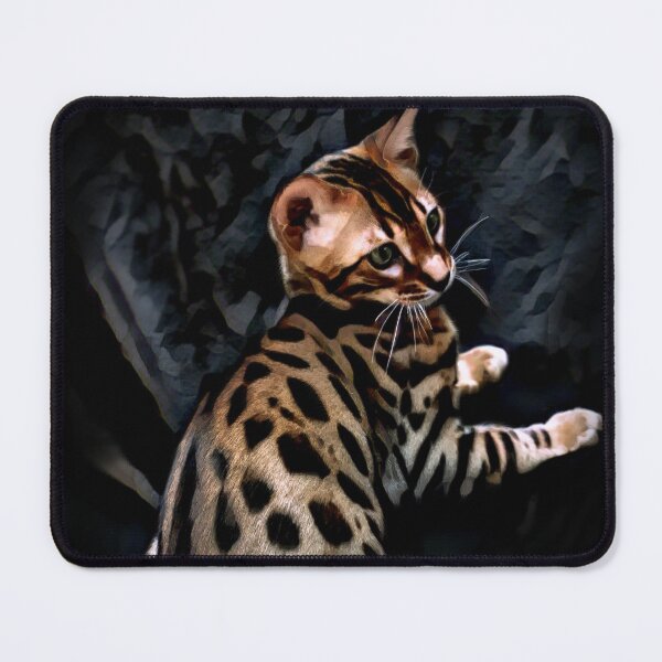 Item preview, Gold Bengal Kitten On A Dark Background designed and sold by Heathermarie321.
