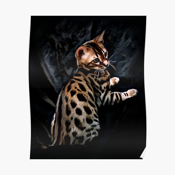 Bengal Cat Poster by Nailia Schwarz - Pixels Merch