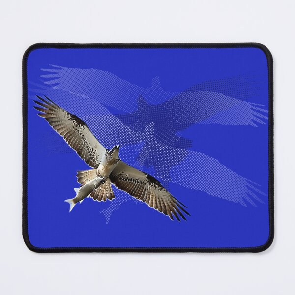 Item preview, Bird of Prey with Fish designed and sold by Ohlordi.