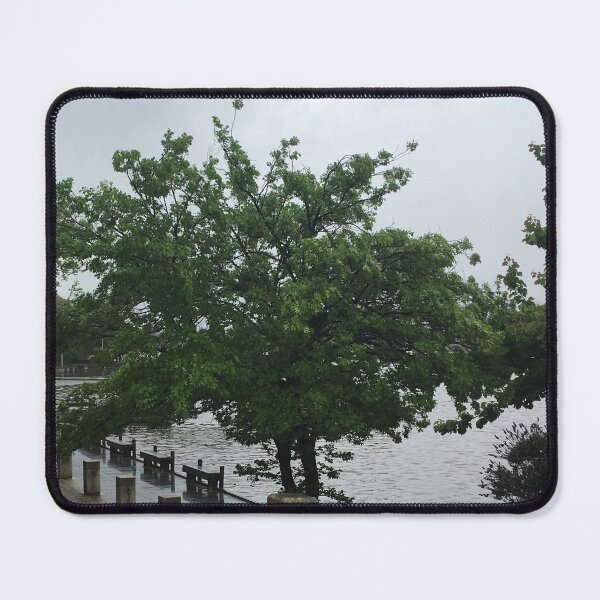 Item preview, spring 2021 Canberra designed and sold by RogerRoy.