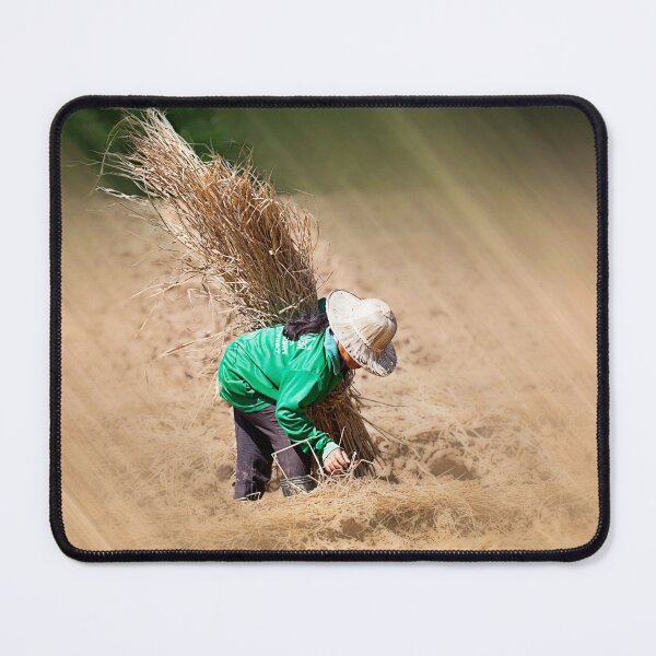 Item preview, Harvest Time in Chiang Rai Thailand designed and sold by Huskyyy Designs.