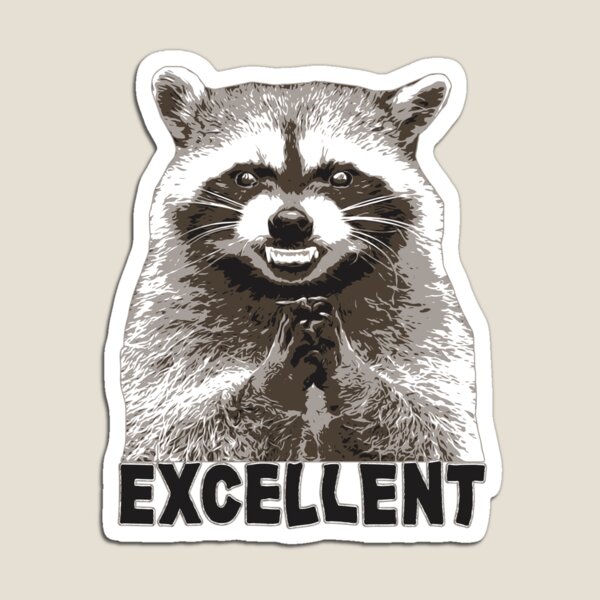 Evil Raccoon Meme Magnet