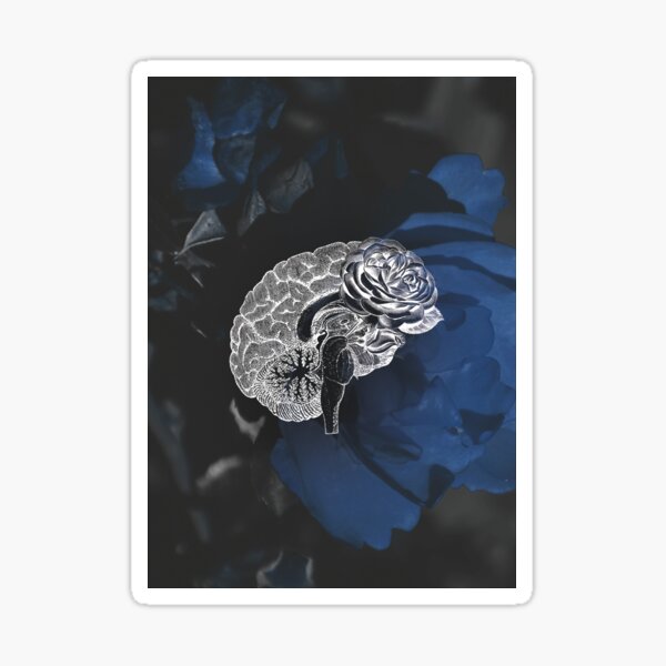 Anatomical Brain On Moody Blue Floral Background Sticker