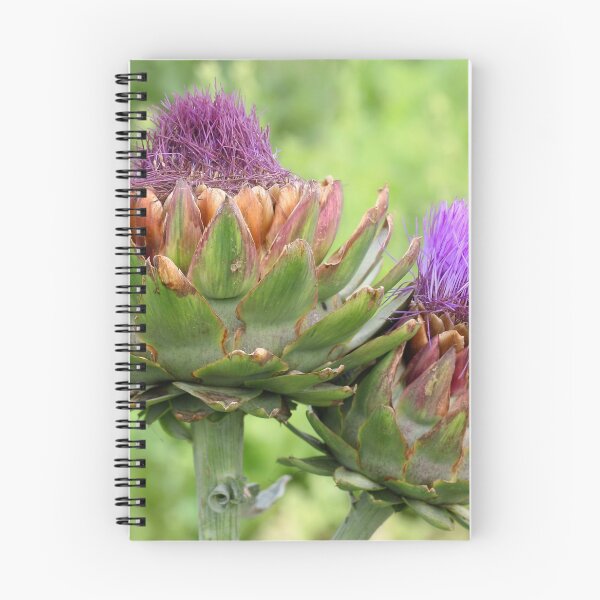 Item preview, Globe Artichoke Flower designed and sold by Siene Browne.