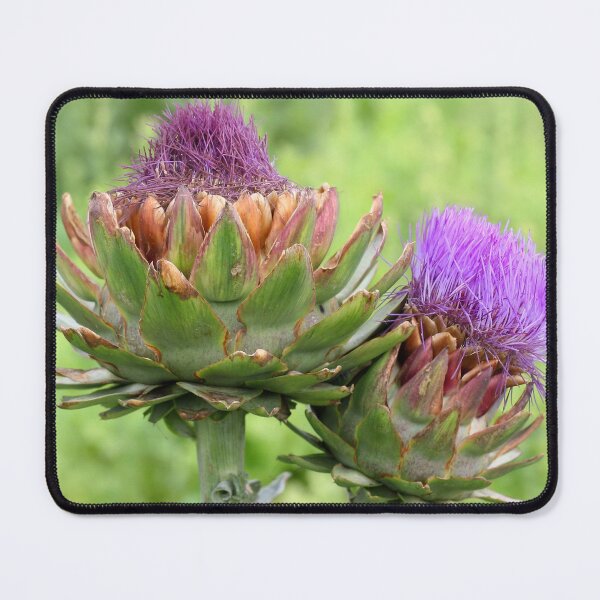 Item preview, Globe Artichoke Flower designed and sold by Siene Browne.
