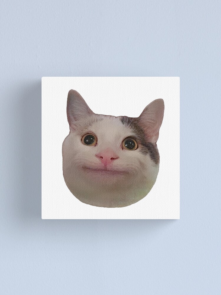 Cat Face Meme Photographic Prints for Sale