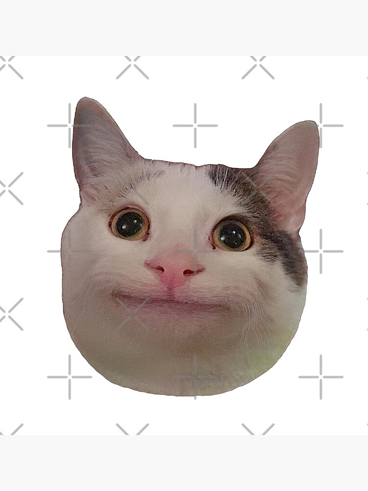 Смешной кот мем