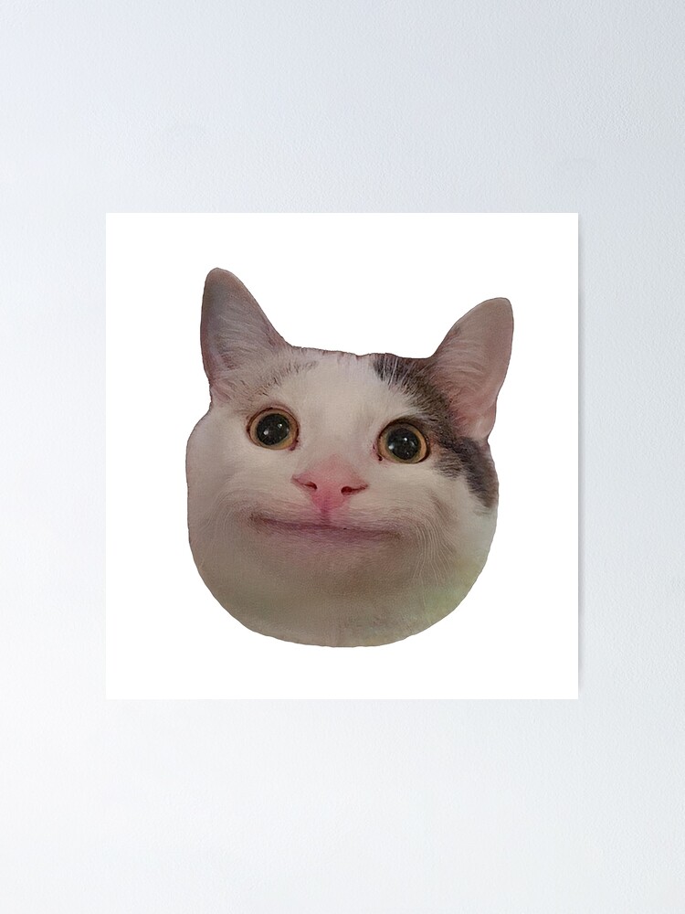 Smiling Beluga Cat Meme Face | Poster