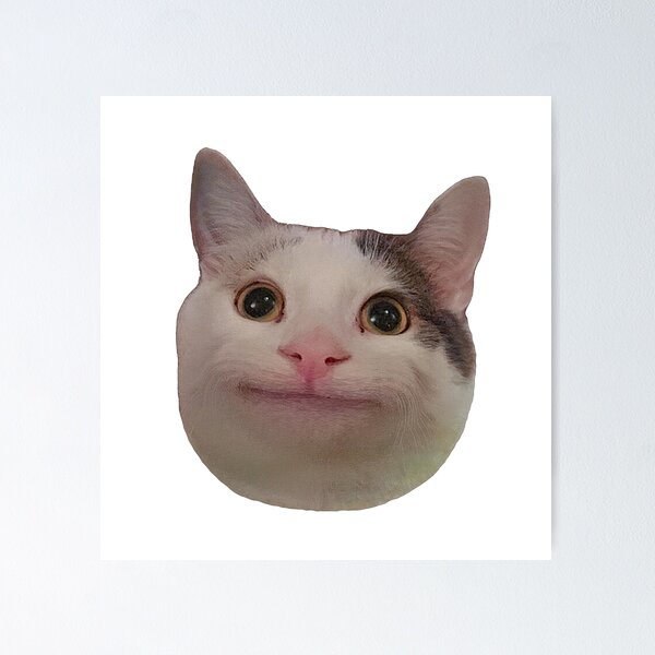 HQ Pathetic Cat Meme Cursed Face | Poster