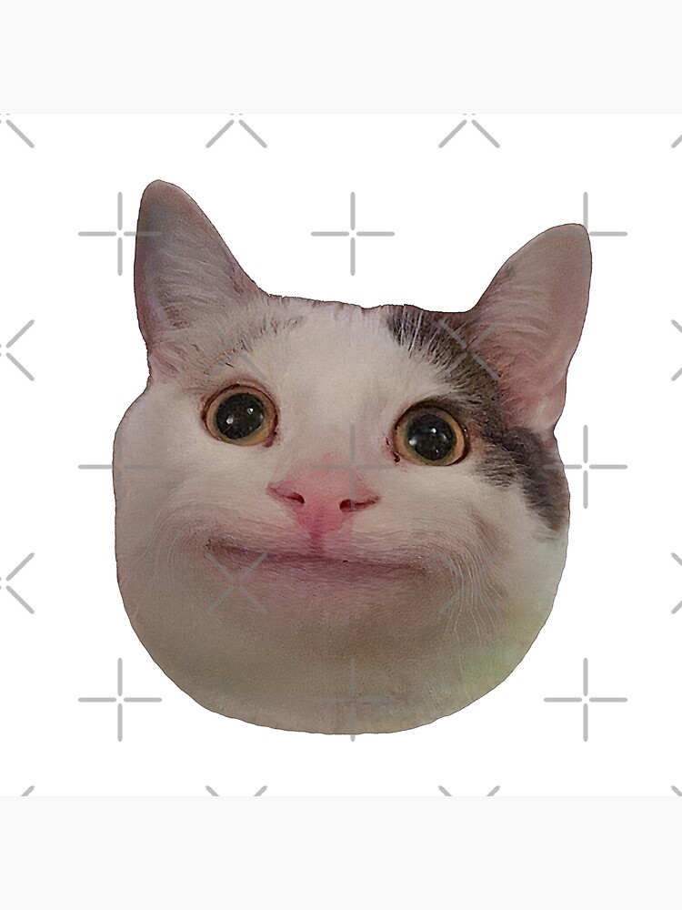 cat meme face, funny cat Sticker for Sale by jassine11