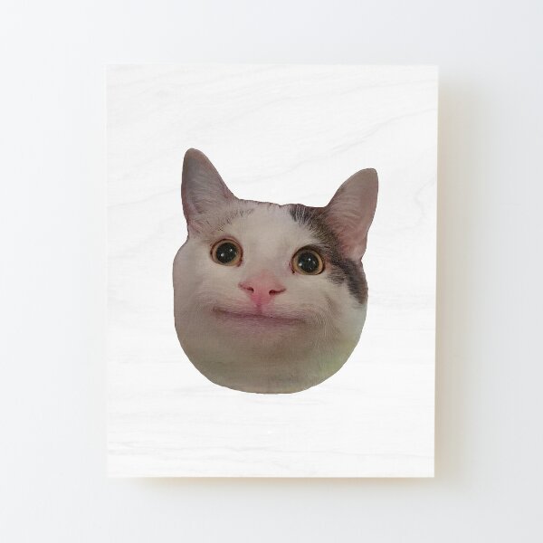 Beluga Cat Sticker for Sale by Nagjin in 2023