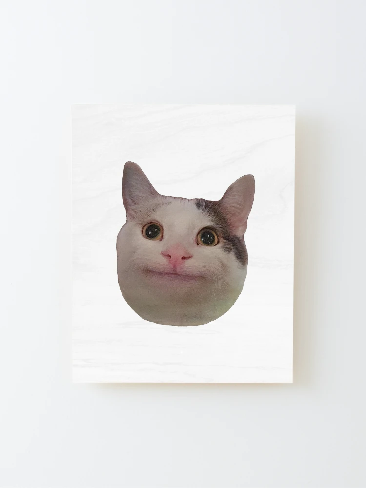 Funny Beluga Cat Clown Poster