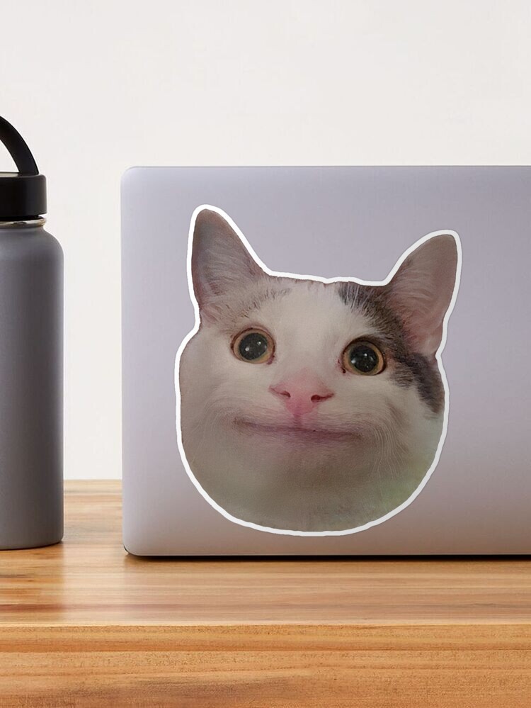 Smiling Beluga Cat Meme Face Photographic Print for Sale by