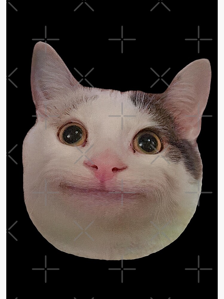 Beluga Cat Meme Face Smiling Funda For Honor 70 50 90 Lite X8a X9a