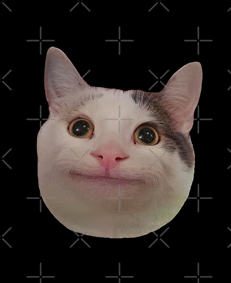 HQ Pathetic Cat Meme Cursed Face | iPad Case & Skin