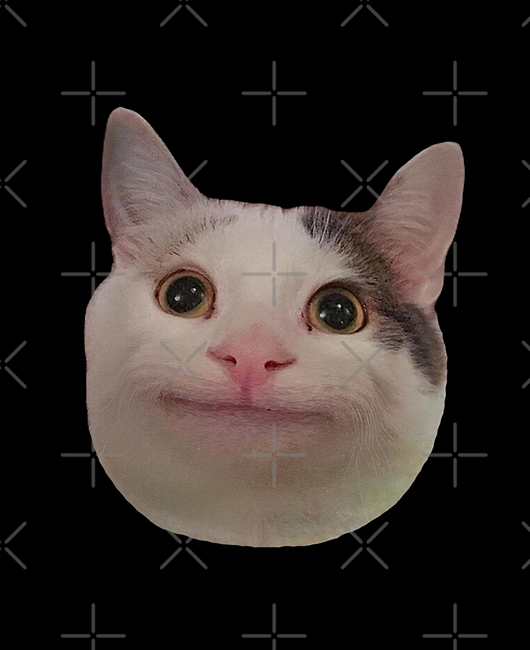 Beluga Cat Meme Face Smiling Funda For Honor 70 50 90 Lite X8a X9a