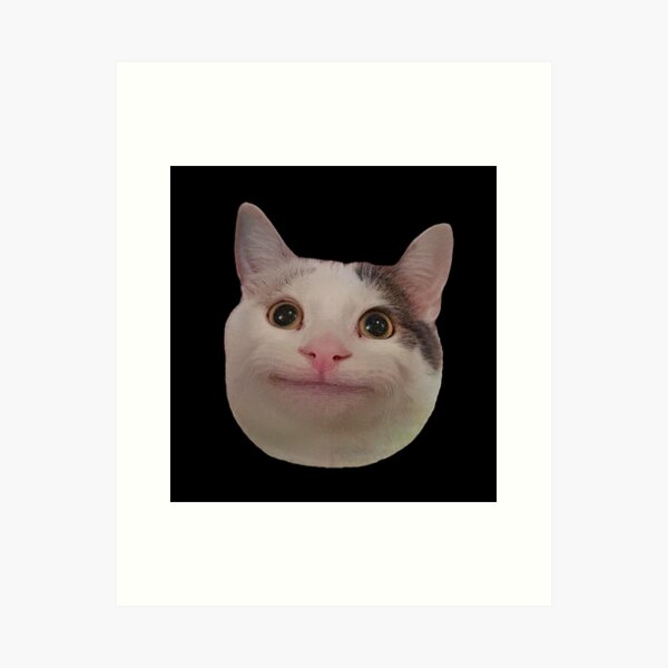 ArtStation - Beluga The Meme Cat Emotes