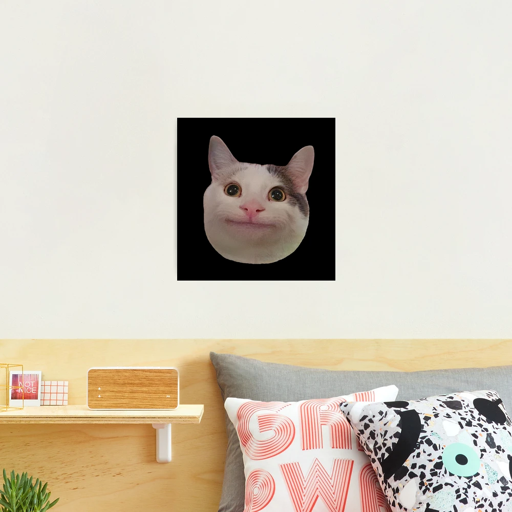 Smiling Beluga Cat Meme Face Photographic Print for Sale by