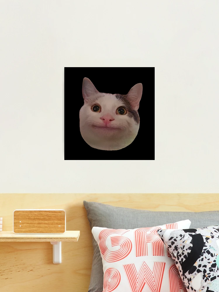 Algodão Meme para homens e mulheres, Beluga Cat Meme, rosto sorridente,  impressão DIY - AliExpress