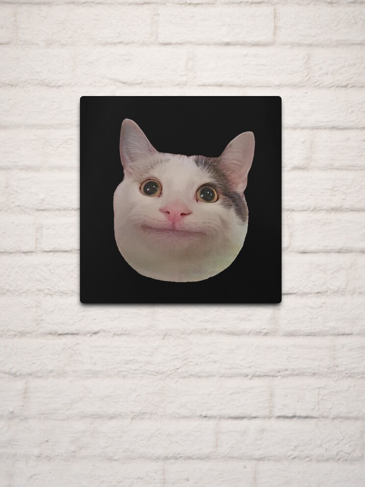 HQ Pathetic Cat Meme Cursed Face | Poster