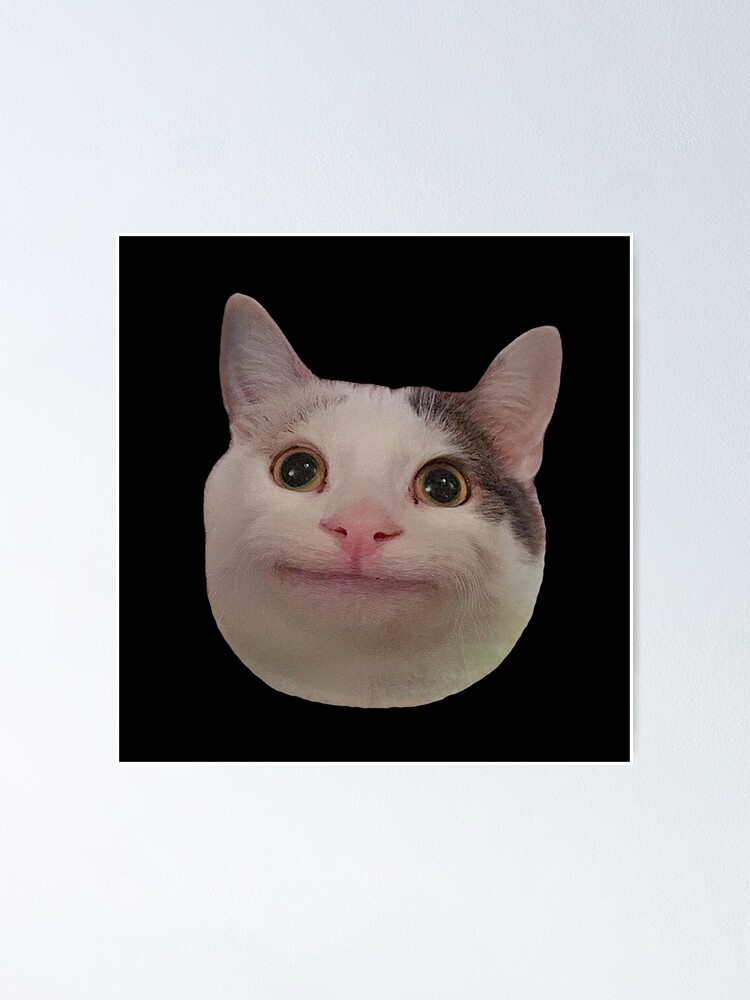 Beluga cat, Beluga Cat Meme, Meme Sticker for Sale by graphic