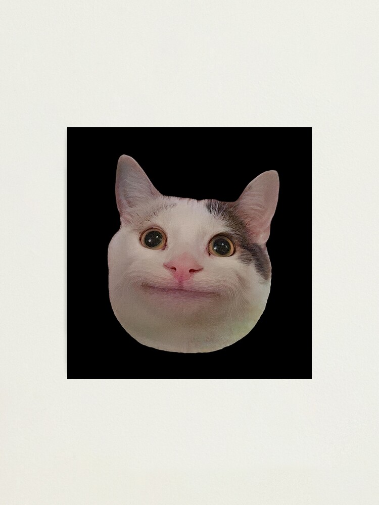 Beluga Cat Meme Face Smiling | Mounted Print