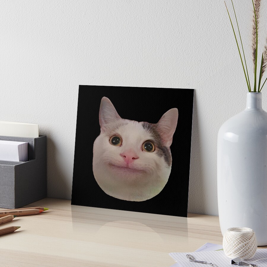 Smiling Beluga Cat Meme Face Photographic Print for Sale by