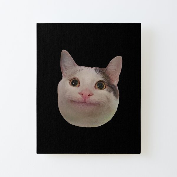 beluga cat meme  Photographic Print for Sale by alicjadesigns