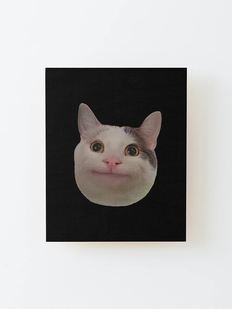 Smiling Cat Beluga - Cat Beluga Photographic Print for Sale by