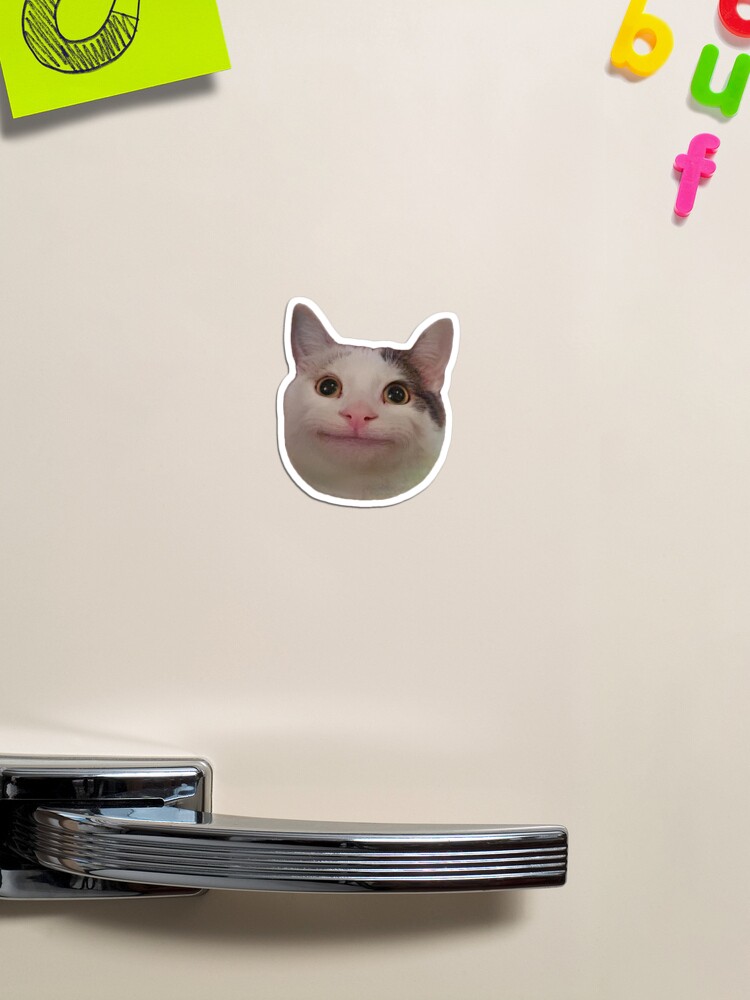 Beluga cat, Beluga Cat Meme, Meme Sticker for Sale by graphic