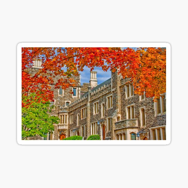 Item preview, Princeton University designed and sold by vadim19.