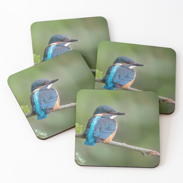 Item preview, Juvenile Kingfishers designed and sold by JackBranscombe.