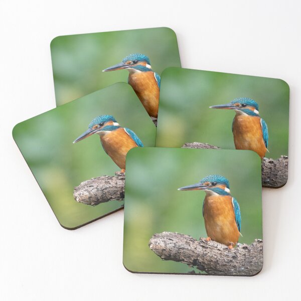 Item preview, Female Kingfisher perched designed and sold by JackBranscombe.