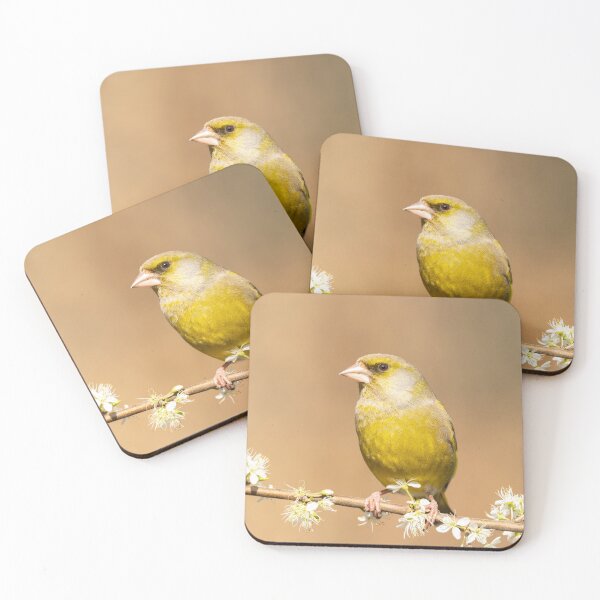 Item preview, A Glorious Greenfinch designed and sold by JackBranscombe.