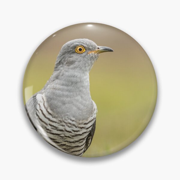 Item preview, Cuckoo designed and sold by JackBranscombe.