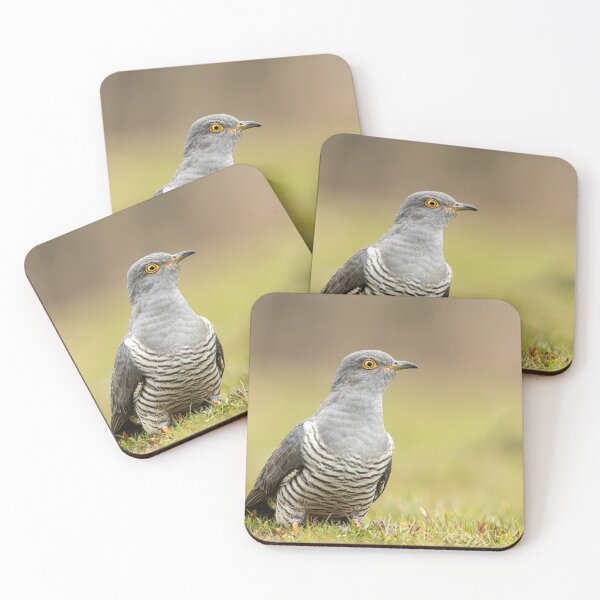 Item preview, Cuckoo designed and sold by JackBranscombe.